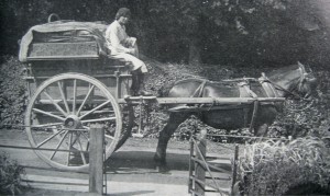 AOS P 1647 bread delivery horse and cart, moulton 1914,18