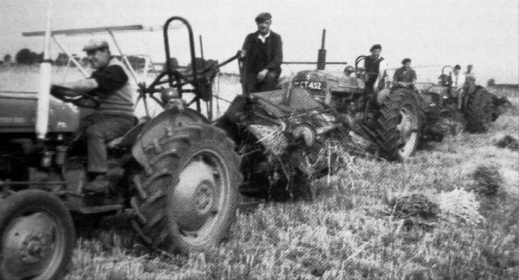 AOS P 1620 cutting wheat J.Richardsons farm twenty 1960s