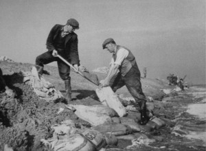 AOS P 1621 filling and laying sand bags to stop erosion at holbeach marsh 1951