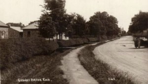 AOS P 1614 gedney drove end 1920s postcard