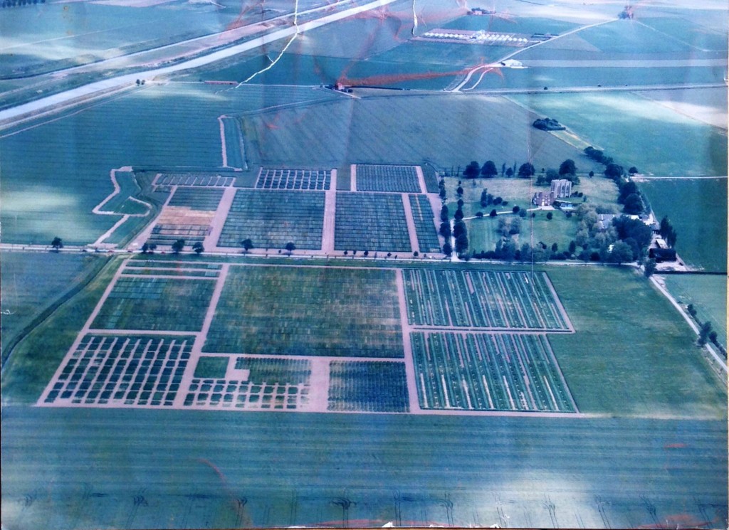Elsoms Trials Ground and Wykeham Ham
