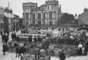 AOS P 1631 sheep market spalding