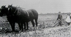 AOS P 1690 mr robert waite of hill farm saracens head with his daughter ida by his side 1920