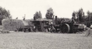 AOS P 1873 The last steam threshing in Lincolnshire at Dent's Farm, Fold Lane, Moulton. Early 1960s.