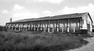 AOS P 3166 RAF tydd st marys the single version of an RFC 6th Brigade RFC twin shed at Tydd in the early 1980s