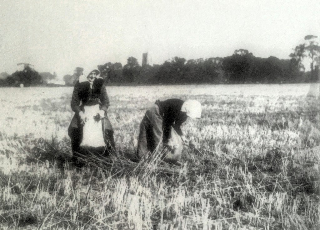 Farming ladies-p1_Fotor