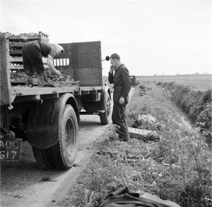 AOS P 3306 used...1951 spalding cut flowers loading onto lorry