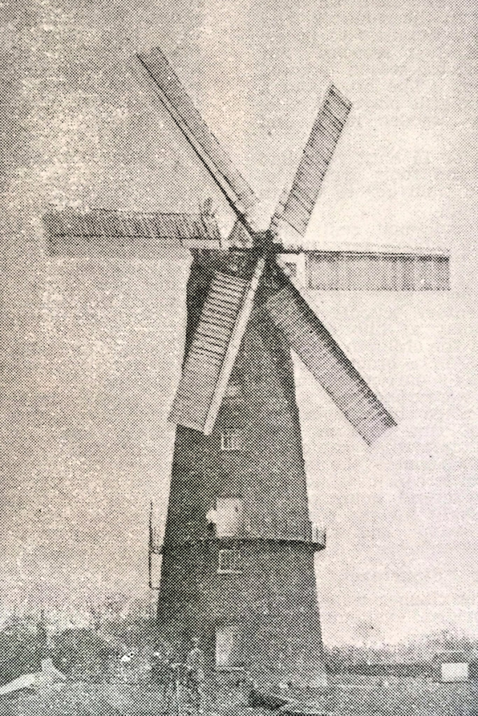 Birch Mill_Fotor