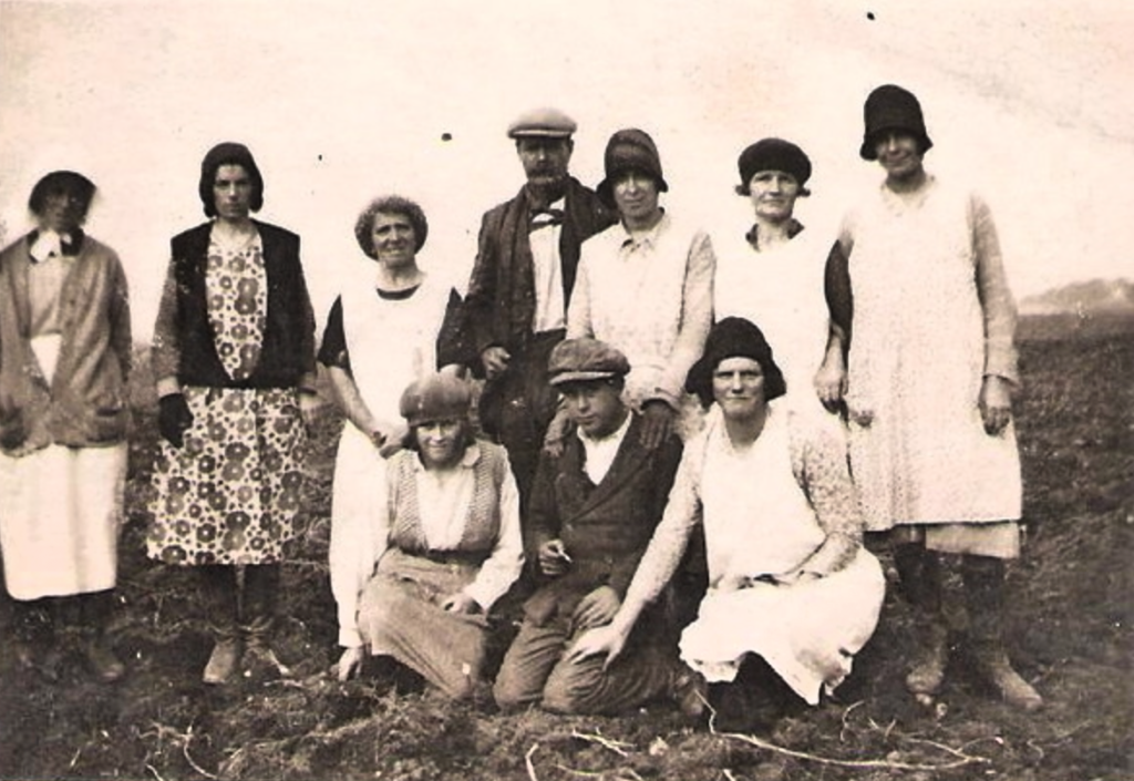 Lutton Potato Pickers