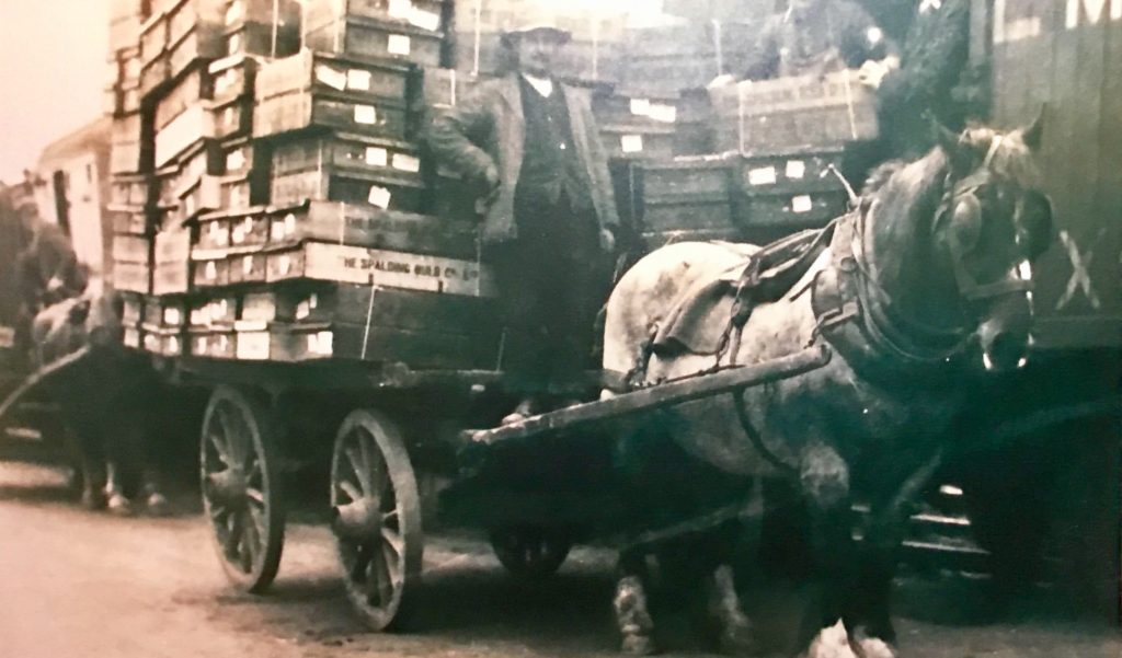 Boxed Flowers being delivered to the Railway Station