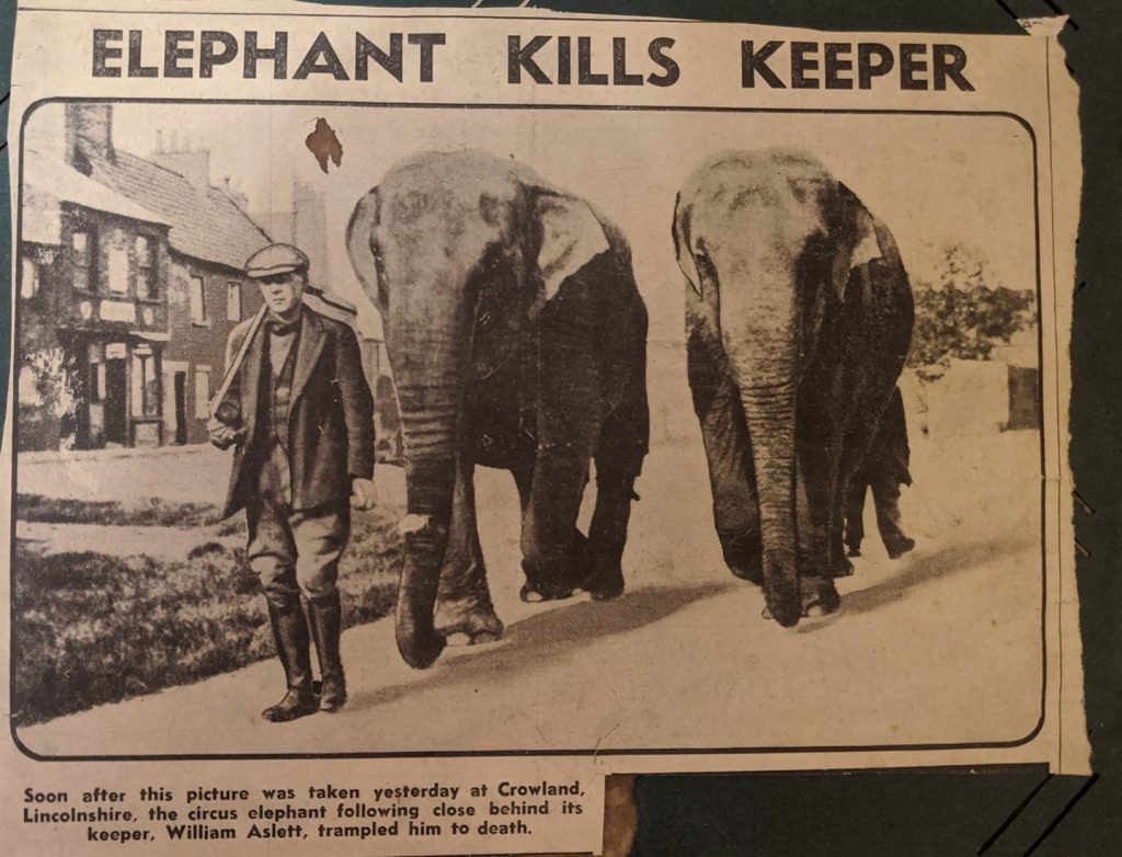 Elephant kills keeper